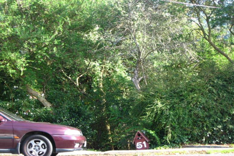 Photo of property in 51 Grey Street, North East Valley, Dunedin, 9010