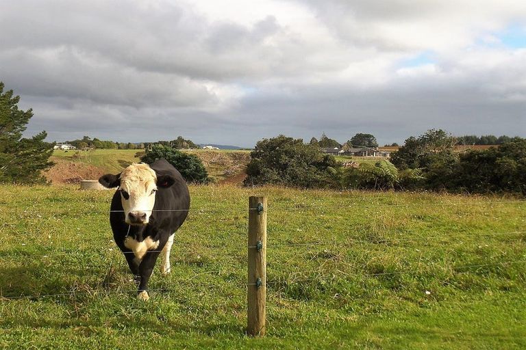 Photo of property in 179b Settlement Road, Puni, Pukekohe, 2678