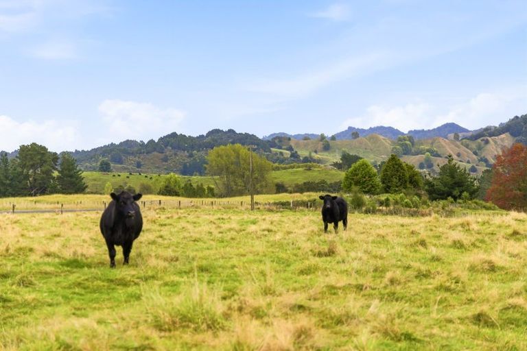 Photo of property in 185 Taringamotu Road, Taringamotu, Taumarunui, 3994