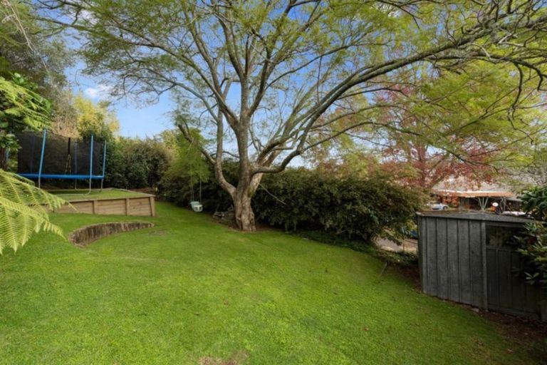 Photo of property in 11 Hall Road, Matua, Tauranga, 3110