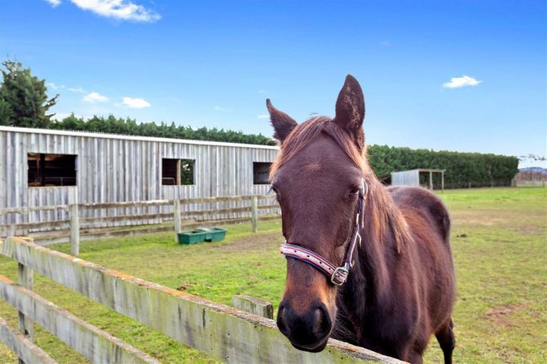 Photo of property in 263 Lehmans Road, Fernside, Rangiora, 7471