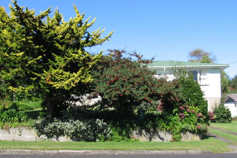 Photo of property in 16 Tee Street, Putaruru, 3411