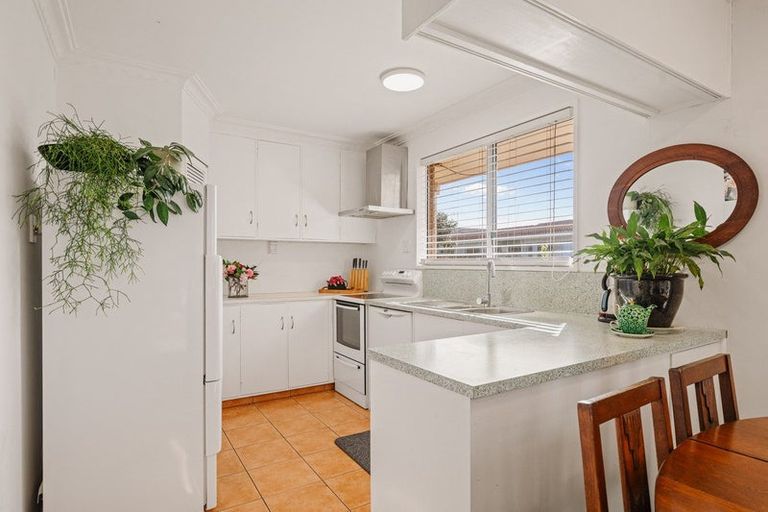 Photo of property in 80b Ridge Street, Otumoetai, Tauranga, 3110