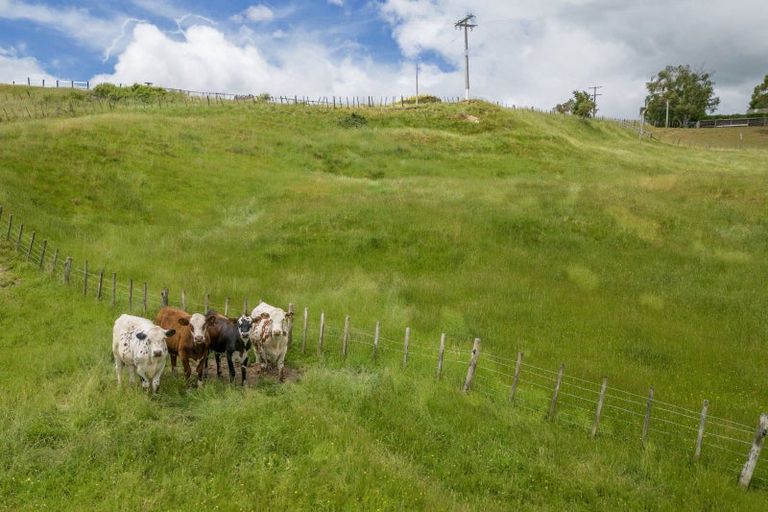 Photo of property in 36 Riverdale Road, Dannevirke, 4930