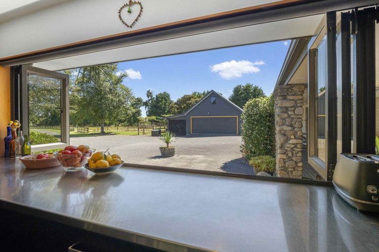 Photo of property in 424 Tararua Road, Levin, 5571