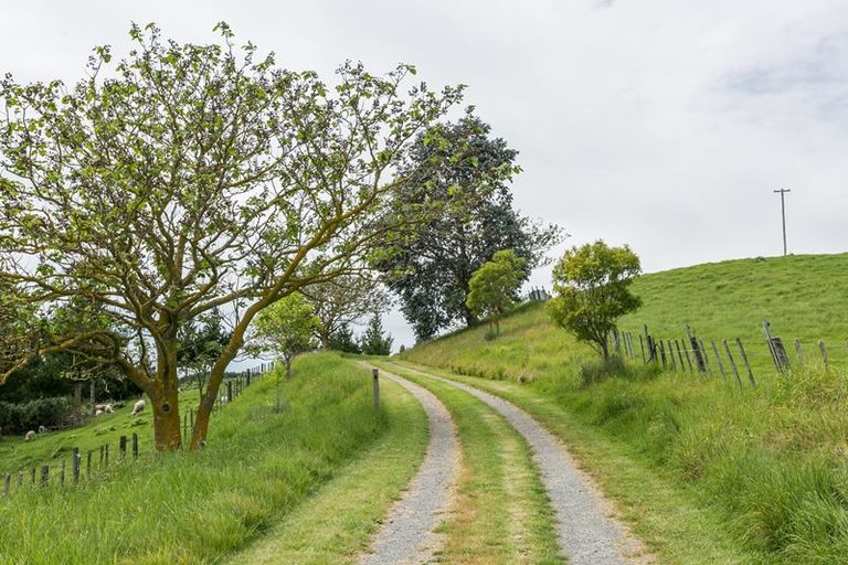 Photo of property in 513 Whakapirau Road, Maraekakaho, Hastings, 4174