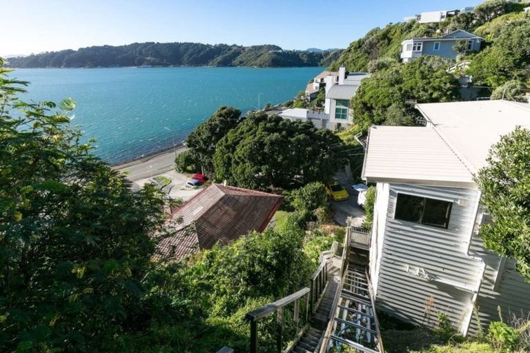 Photo of property in 21 Kio Road, Hataitai, Wellington, 6021