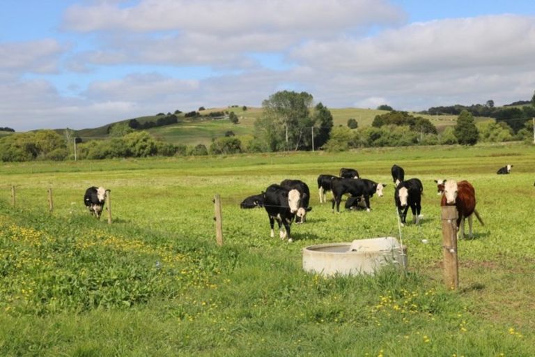 Photo of property in 1008 Tangowahine Valley Road, Tangowahine, Dargaville, 0372