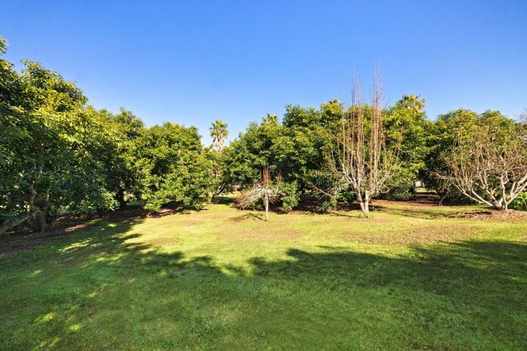 Photo of property in 88 Lockington Road, Aongatete, Katikati, 3181