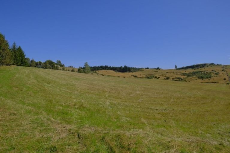 Photo of property in 12 Steep Hill Road, Seacliff, Waikouaiti, 9471