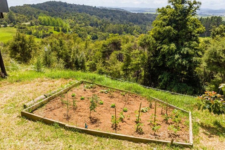 Photo of property in 827 Tinopai Road, Tinopai, Matakohe, 0593