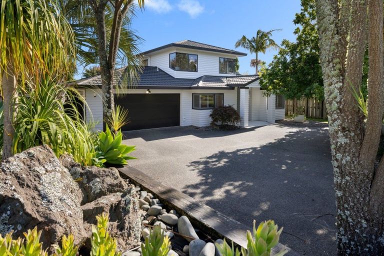Photo of property in 19 Revell Drive, Ohauiti, Tauranga, 3112
