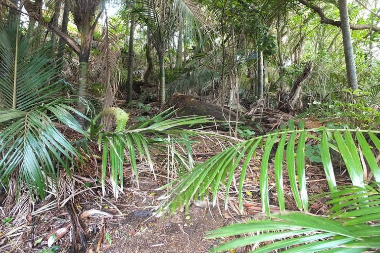 Photo of property in 48 Scott Road, Tamaterau, Whangarei, 0174