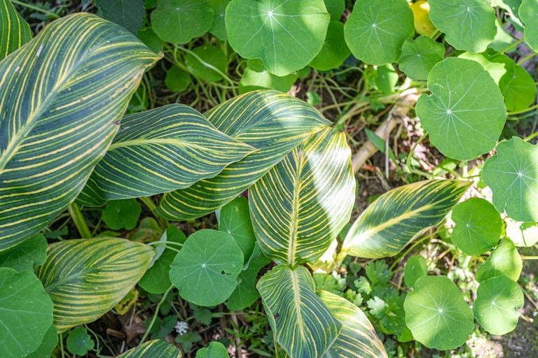 Photo of property in 100 Greenhills Drive, Coromandel, 3506