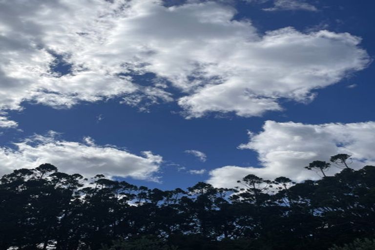 Photo of property in 24 Te Wairoa Lane, Tinopai, 0593