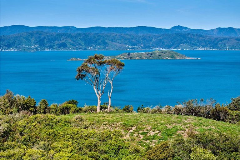 Photo of property in 50 Dungarvan Road, Newlands, Wellington, 6037