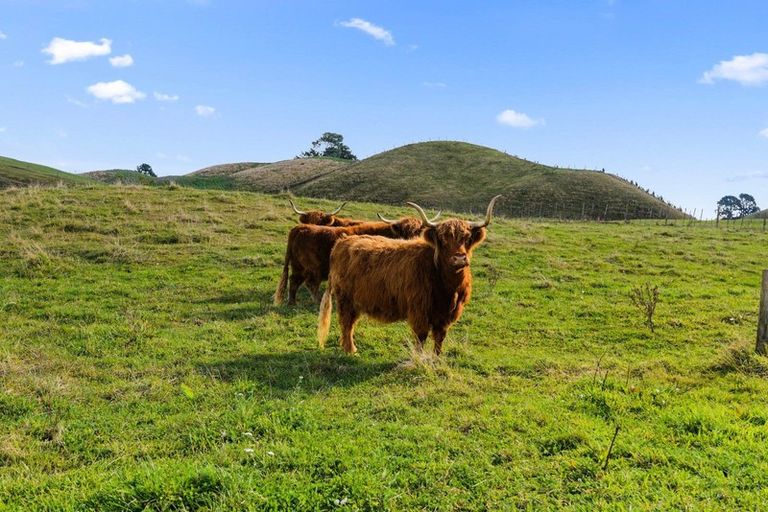 Photo of property in 696b Poutakataka Road, Atiamuri, Rotorua, 3077