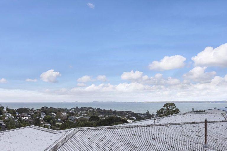 Photo of property in 1b Tudor Place, Mairangi Bay, Auckland, 0630