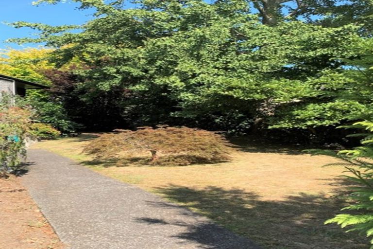 Photo of property in 31 Kensington Place, Fairfield, Hamilton, 3214