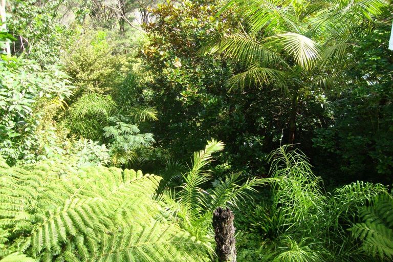 Photo of property in 79 Yorke Road, Haruru, 0204