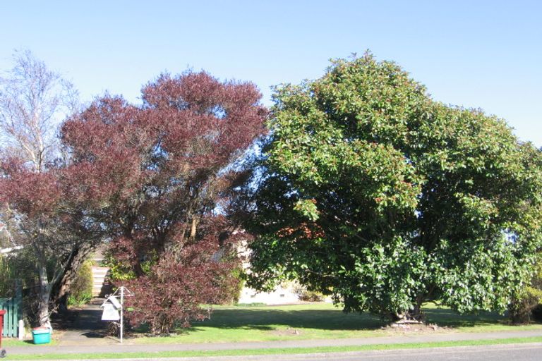 Photo of property in 15 Ballance Street, Masterton, 5810