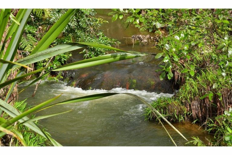 Photo of property in 80 Tunnel Road, Puhoi, Warkworth, 0994