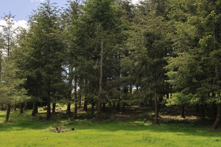 Photo of property in 88 Maytown Road, Waimate, 7978