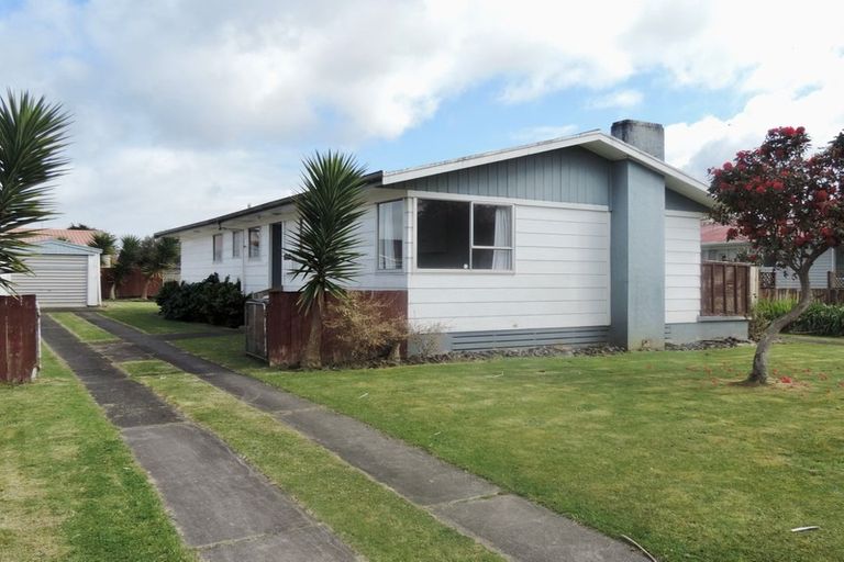 Photo of property in 75 James Henry Crescent, Huntly, 3700