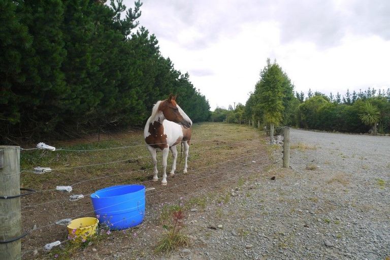 Photo of property in 2596 South Eyre Road, Eyrewell, Rangiora, 7476