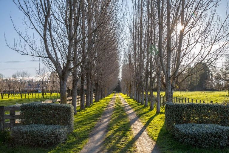 Photo of property in 186a Te Whiti Road, Homebush, Masterton, 5885