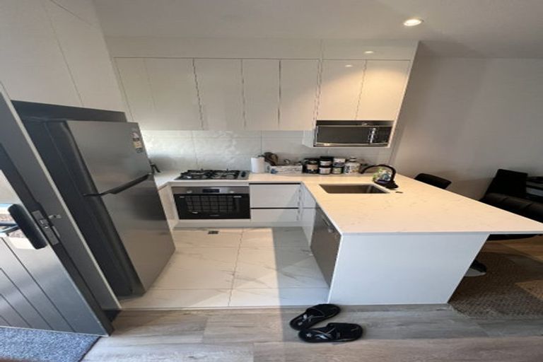 Photo of property in 22 Treeline Lane, Flat Bush, Auckland, 2019