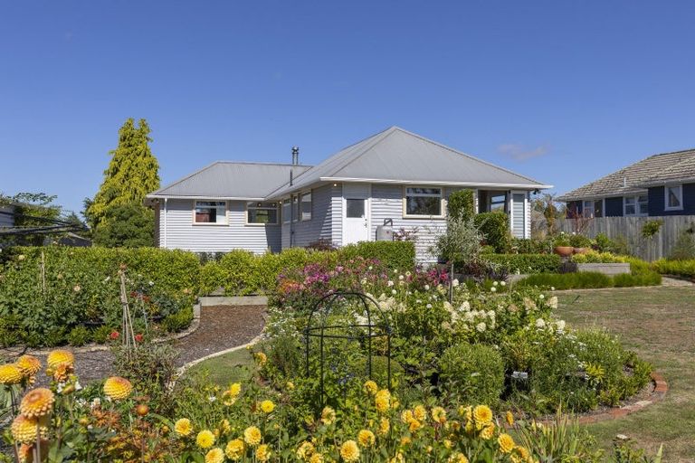 Photo of property in 41 Maire Street, Wairakei, Taupo, 3332