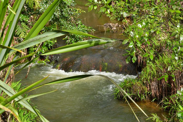 Photo of property in 80 Tunnel Road, Puhoi, Warkworth, 0994