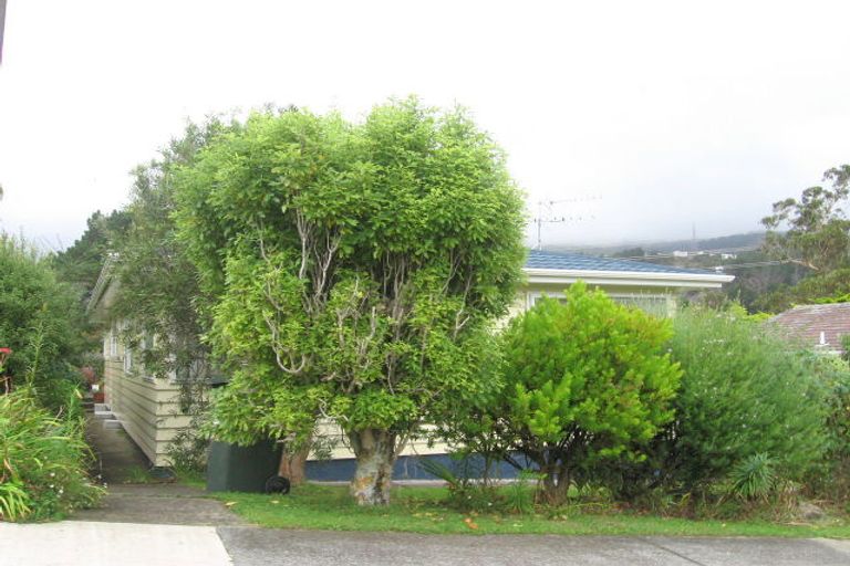 Photo of property in 135 Taylor Terrace, Tawa, Wellington, 5028