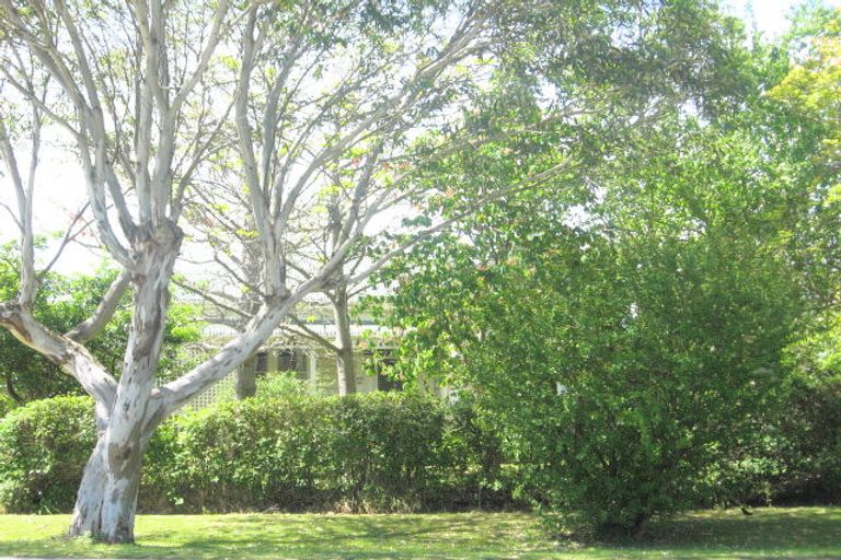 Photo of property in 159 Whitaker Street, Whataupoko, Gisborne, 4010