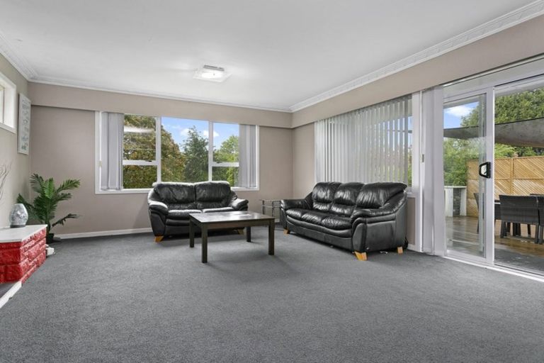 Photo of property in 113 Buckland Street, Putaruru, 3411