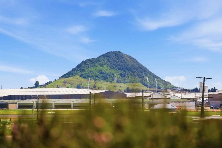 Photo of property in 17a Claridge Place, Mount Maunganui, 3116