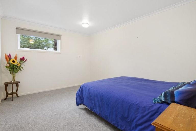 Photo of property in 41 Anzac Road, Pukekohe, 2120