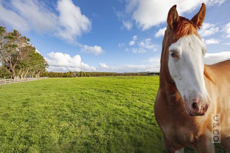 Photo of property in 138 Taupaki Road, Taupaki, 0782