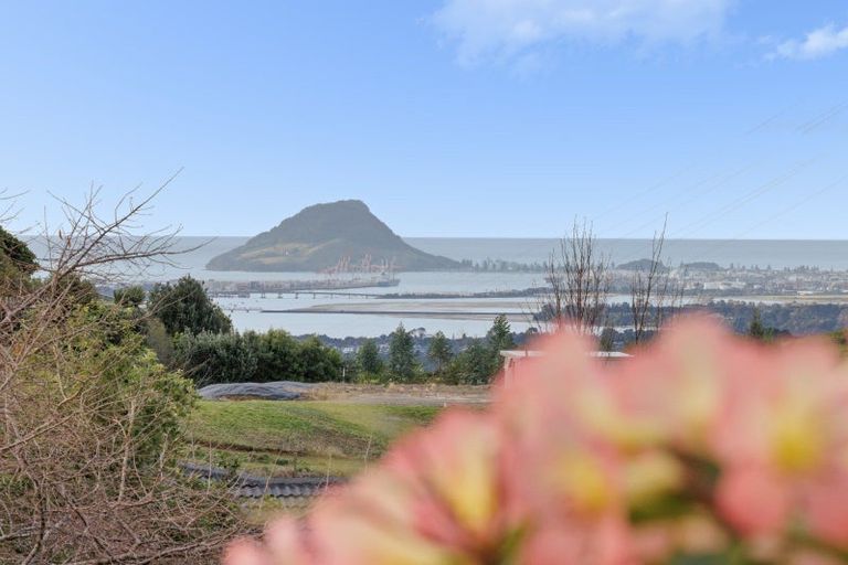 Photo of property in 39a Rowe Road, Ohauiti, Tauranga, 3173