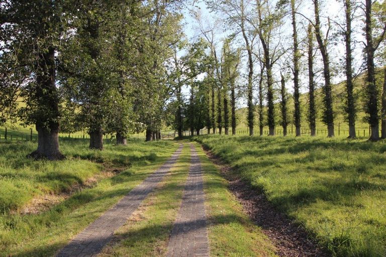 Photo of property in 510 Smedley Road, Tikokino, Waipawa, 4274