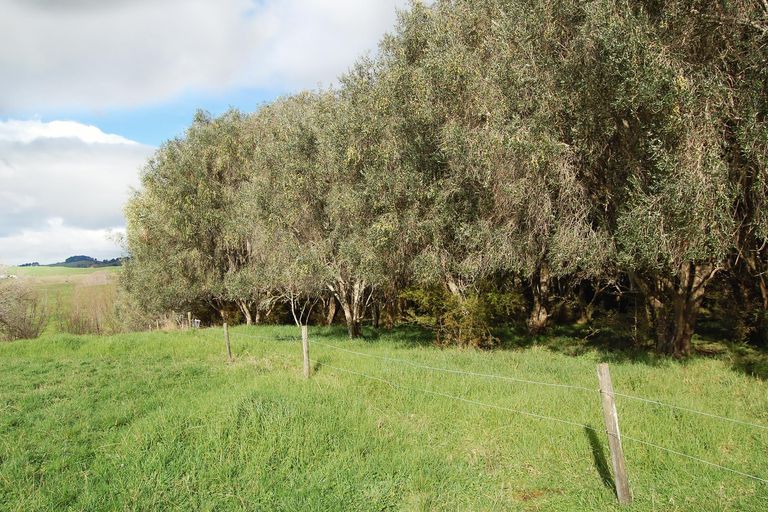 Photo of property in 91 Whaka Street, Maungaturoto, 0520