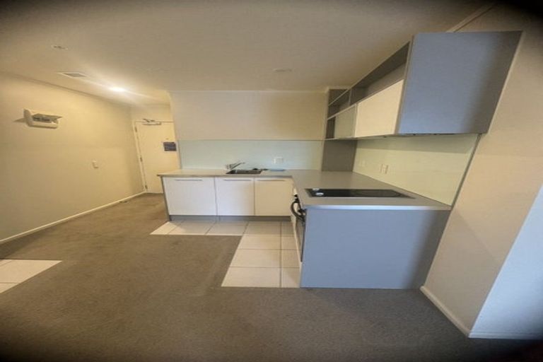 Photo of property in Luna Apartments, 1n/16 Burton Street, Grafton, Auckland, 1010