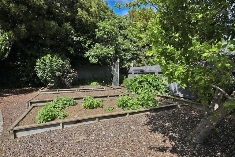 Photo of property in 143 Dalrymple Street, Appleby, Invercargill, 9812