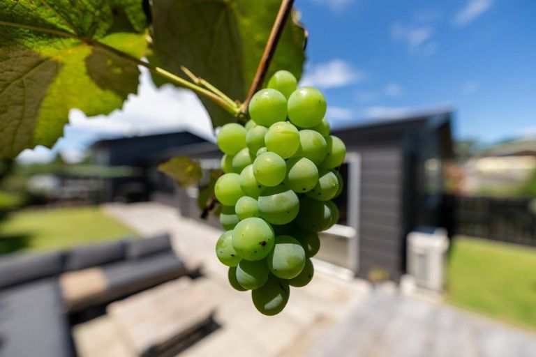 Photo of property in 15 Milsom Place, Te Puke, 3119