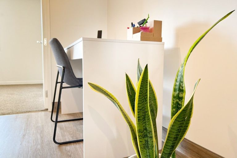 Photo of property in 24/10 Rex Street, Riccarton, Christchurch, 8041