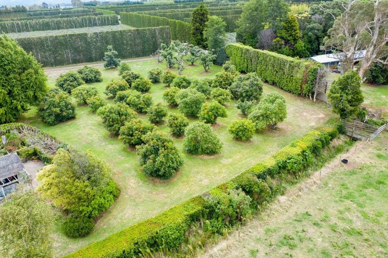 Photo of property in 380b Matahui Road, Aongatete, Katikati, 3181