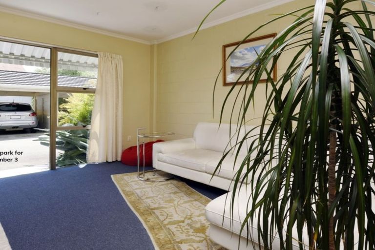 Photo of property in 3/15 Trafalgar Street, The Wood, Nelson, 7010