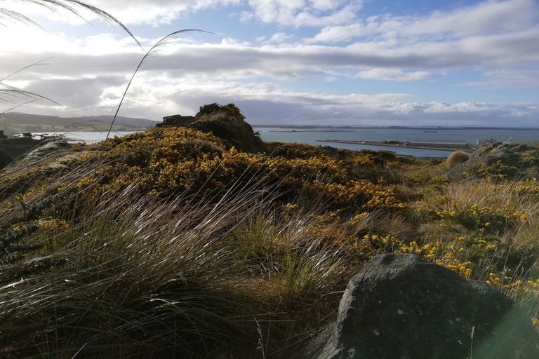 Photo of property in 298 Bann Street, Bluff, 9814