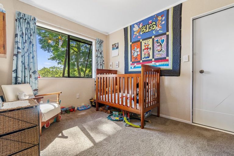 Photo of property in 1 Paratu Road, Richmond Downs, 3475